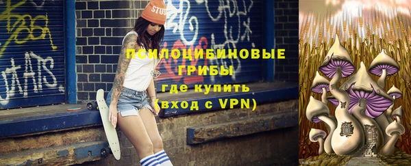 прущие крисы Арсеньев