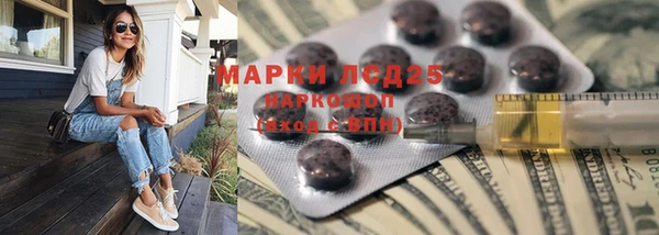 ешки Аркадак